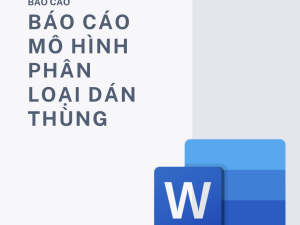 BÁO CÁO : MÔ HÌNH PHÂN LOẠI DÁN THÙNG