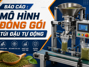 BÁO CÁO : MÔ HÌNH ĐÓNG GÓI TÚI ĐẬU TỰ ĐỘNG