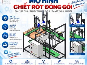 Mô Hình Chiết Rót Đóng Gói Sản Phẩm Dán Thùng Tự Động Hóa Chuyên Nghiệp