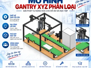Mô Hình Gantry XYZ Phân Loại - Tự Động Hóa Chuyên Nghiệp